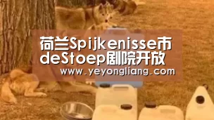 荷兰Spijkenisse市deStoep剧院开放“米兰·(milan)中国官网”(图3) milan米兰